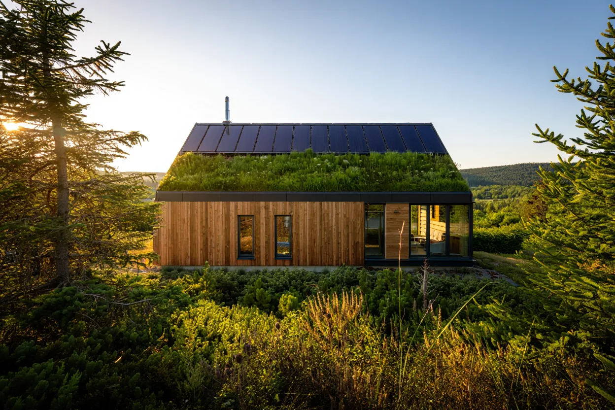 Maison écologique en bois : forces, limites et choix techniques